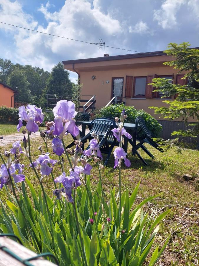 Chalet Grazia Valgiano Buitenkant foto